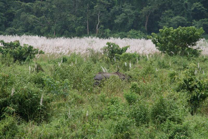 India & Nepal 2011 - 0565